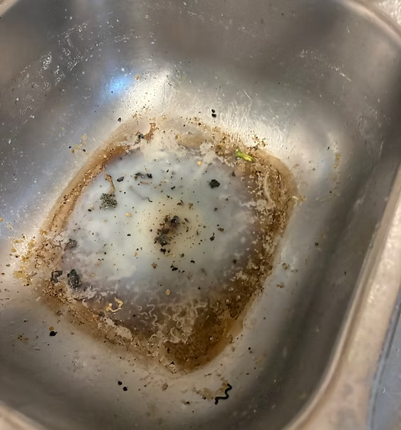 Kitchen Sink before cleaning