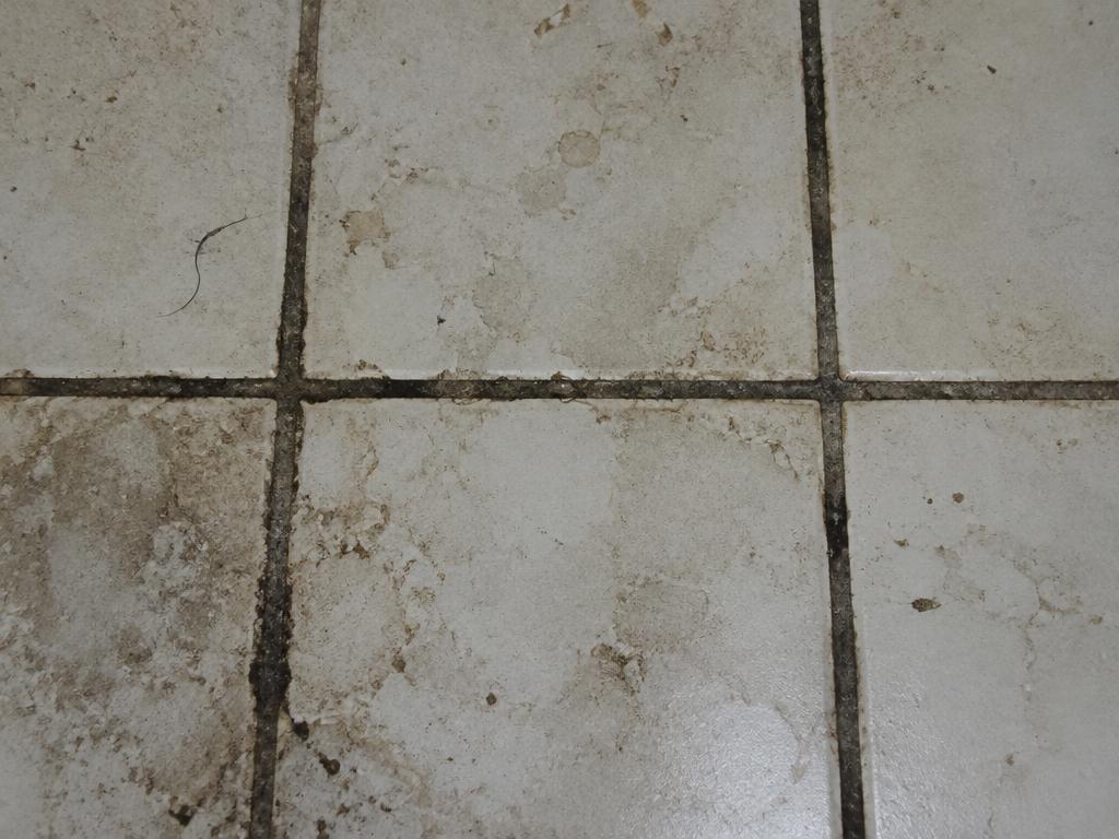 Tile & Grout before cleaning
